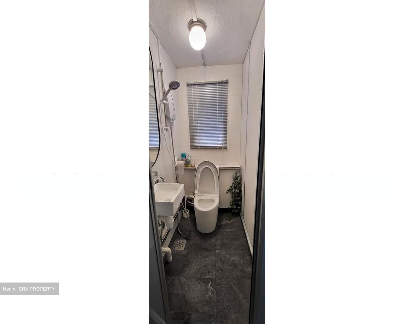 Chay Yan Street (D3), Detached #521776161